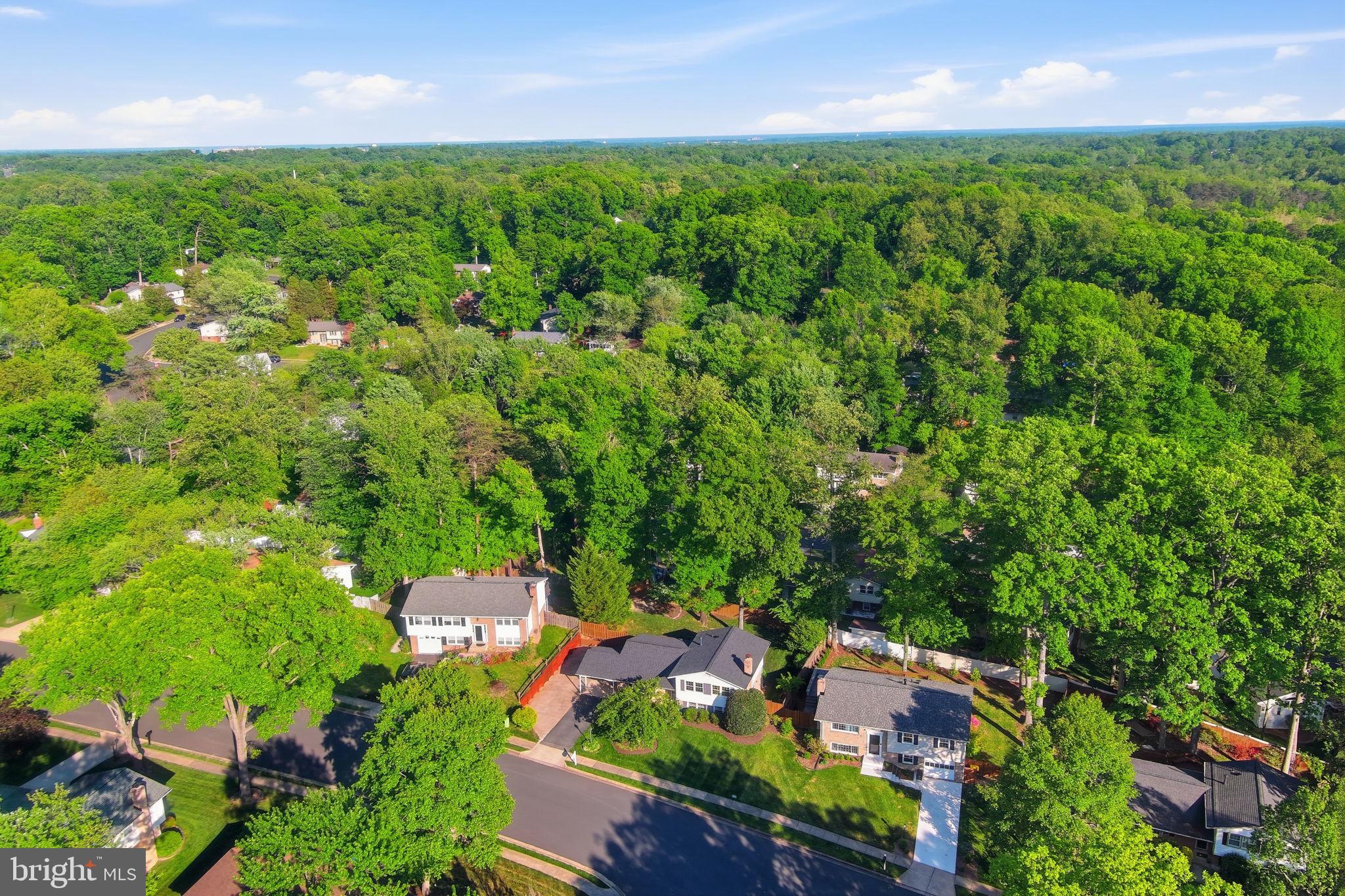 7221 Galgate Drive Springfield, VA 22153 - Photo 56 of 56