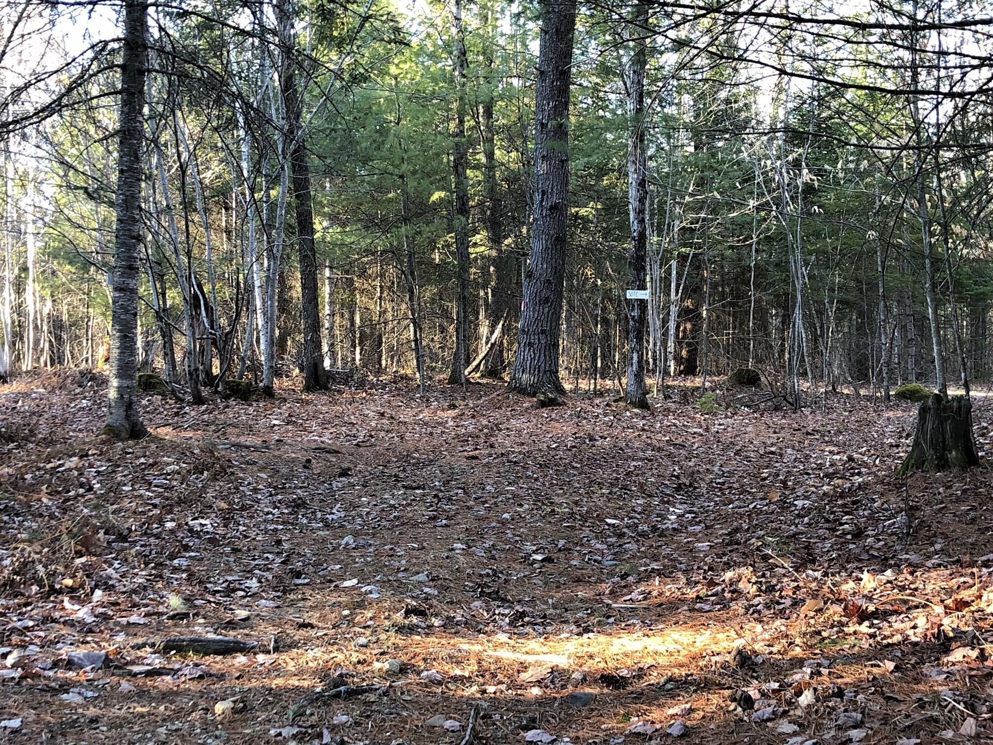 421 Rutland Road Newport, ME 04953 - Photo 69 of 76 Trail 2