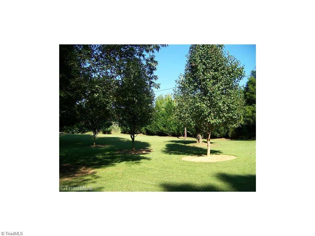 1137 Thayer Road Trinity, NC 27370 - Photo 13 of 14 Front yard offers lots of trees shielding view of road., Privacy