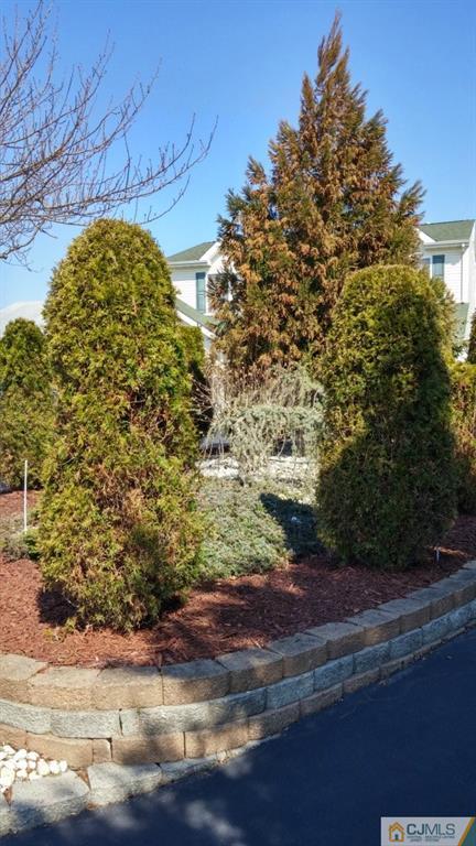 37 Rainford Road Edison, NJ 08820 - Photo 18 of 18 a view of a yard
