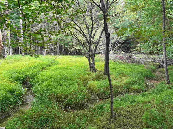 $1,250,000 | 1087 Bobby Faucette Road, Jonesville, SC 29353