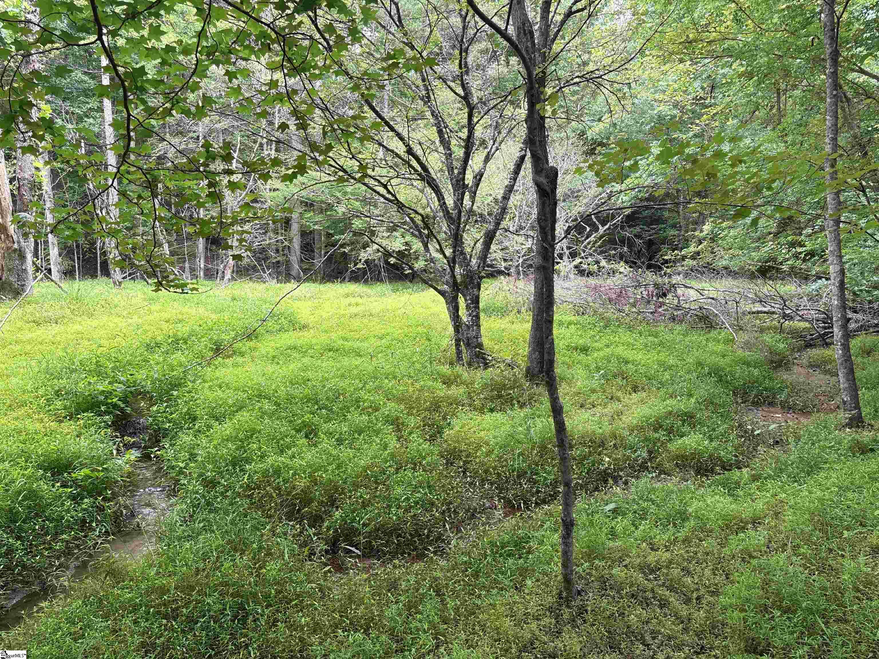 1087 Bobby Faucette Road Jonesville, SC 29353 - Photo 1 of 47