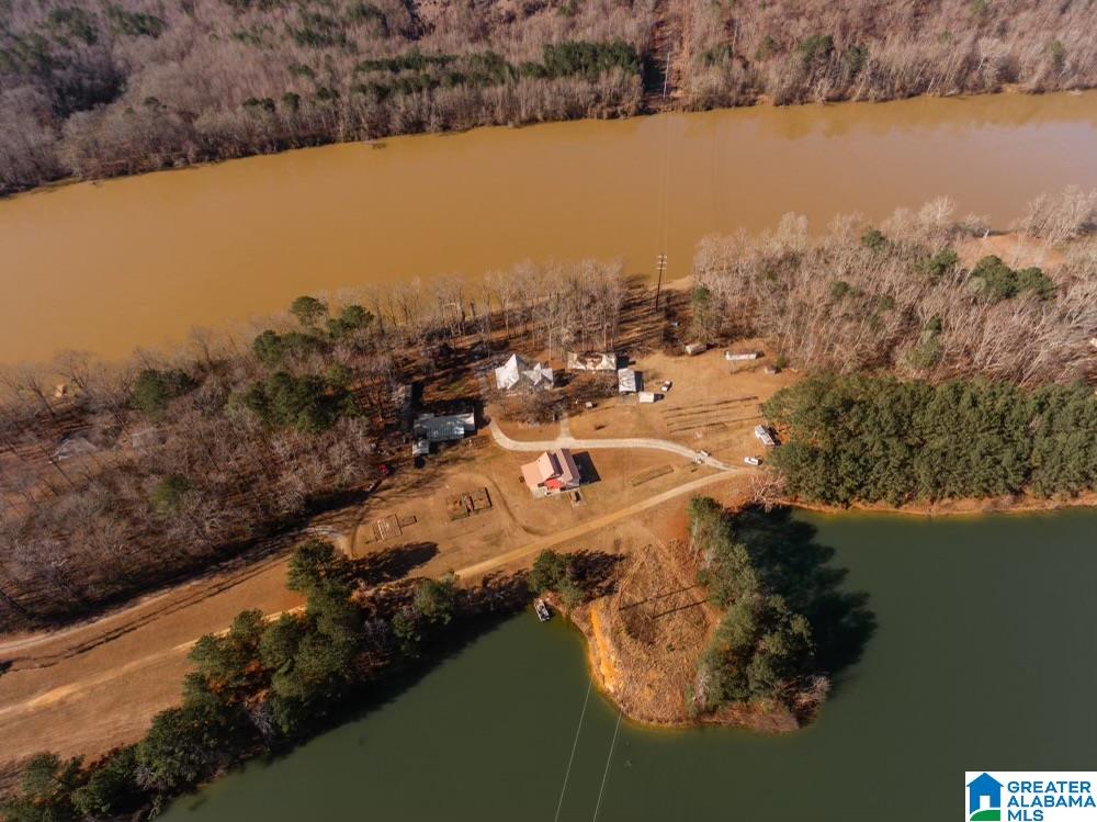 626 Memory Lane Ohatchee, AL 36271 - Photo 52 of 53