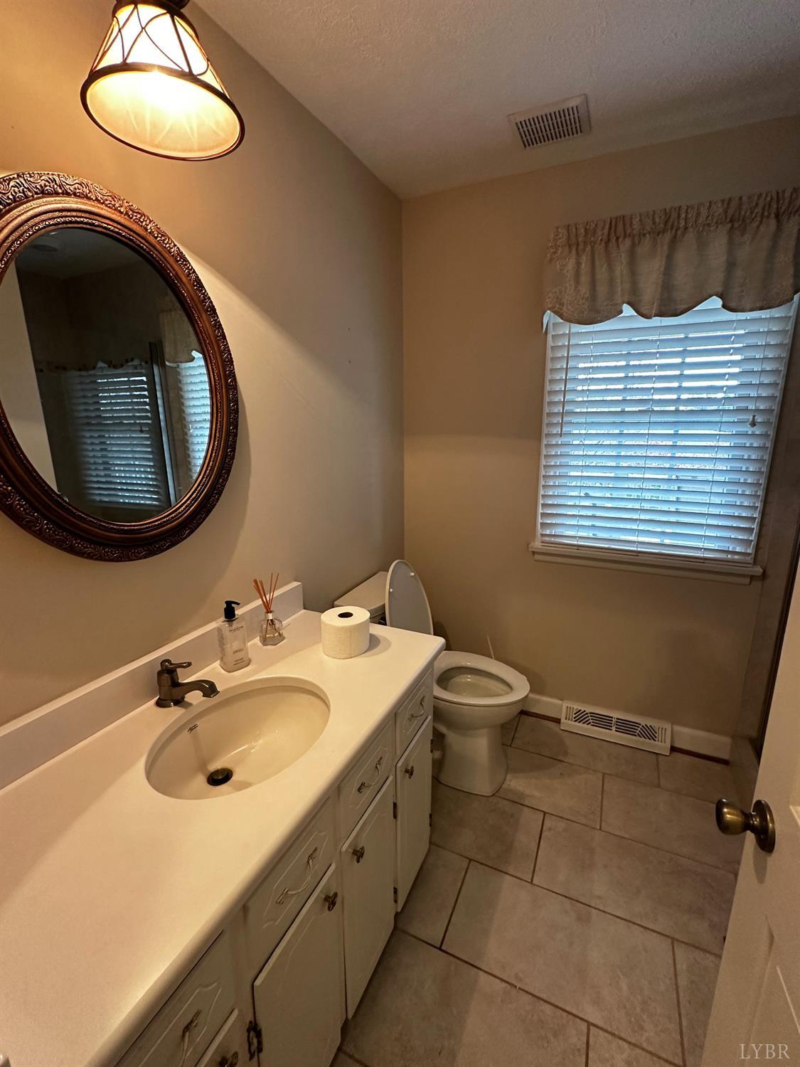 1687 Pilgrim Road Forest, VA 24551 - Photo 22 of 42 a bathroom with a sink a toilet and a mirror