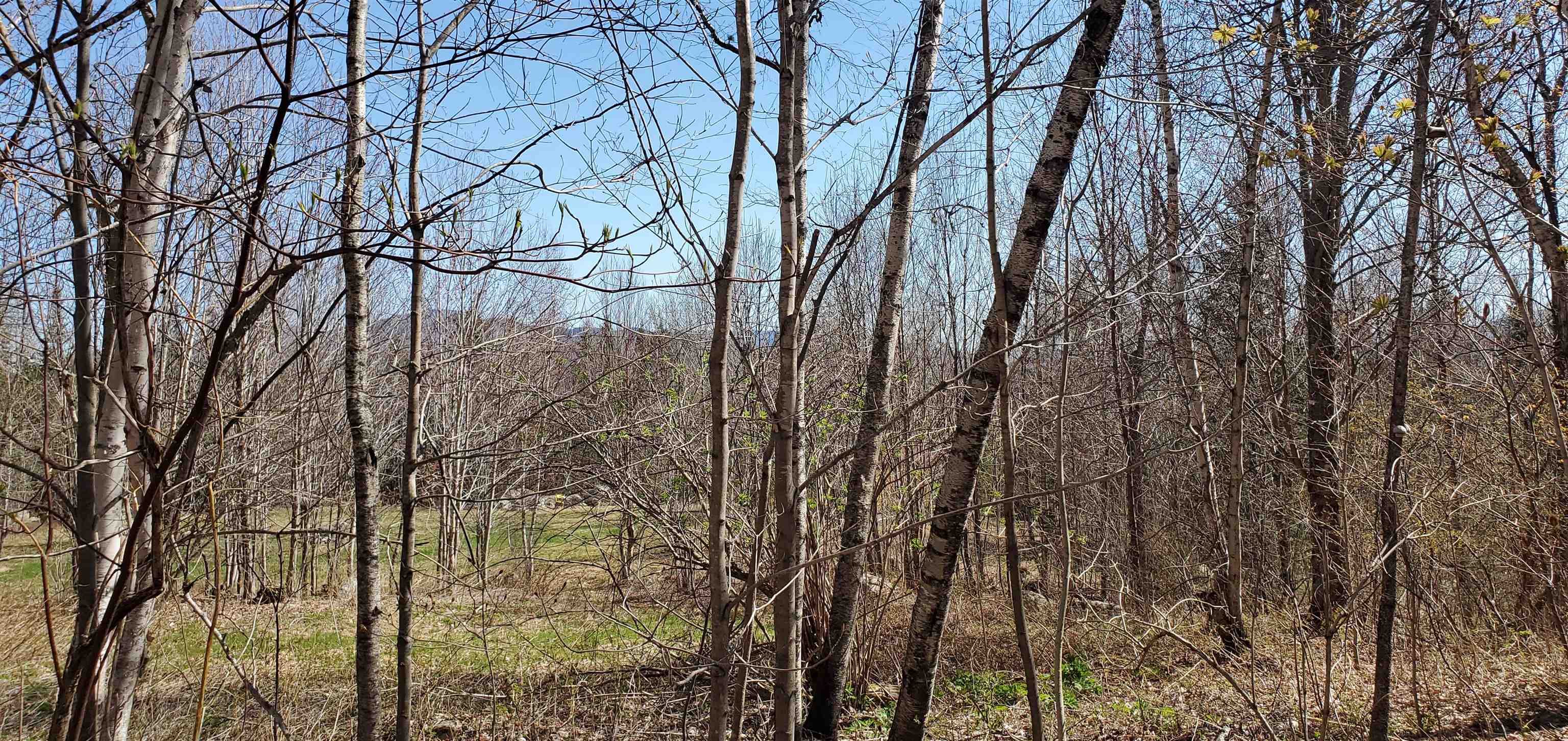1281 Hall Road Maidstone, VT 05905 - Photo 5 of 27