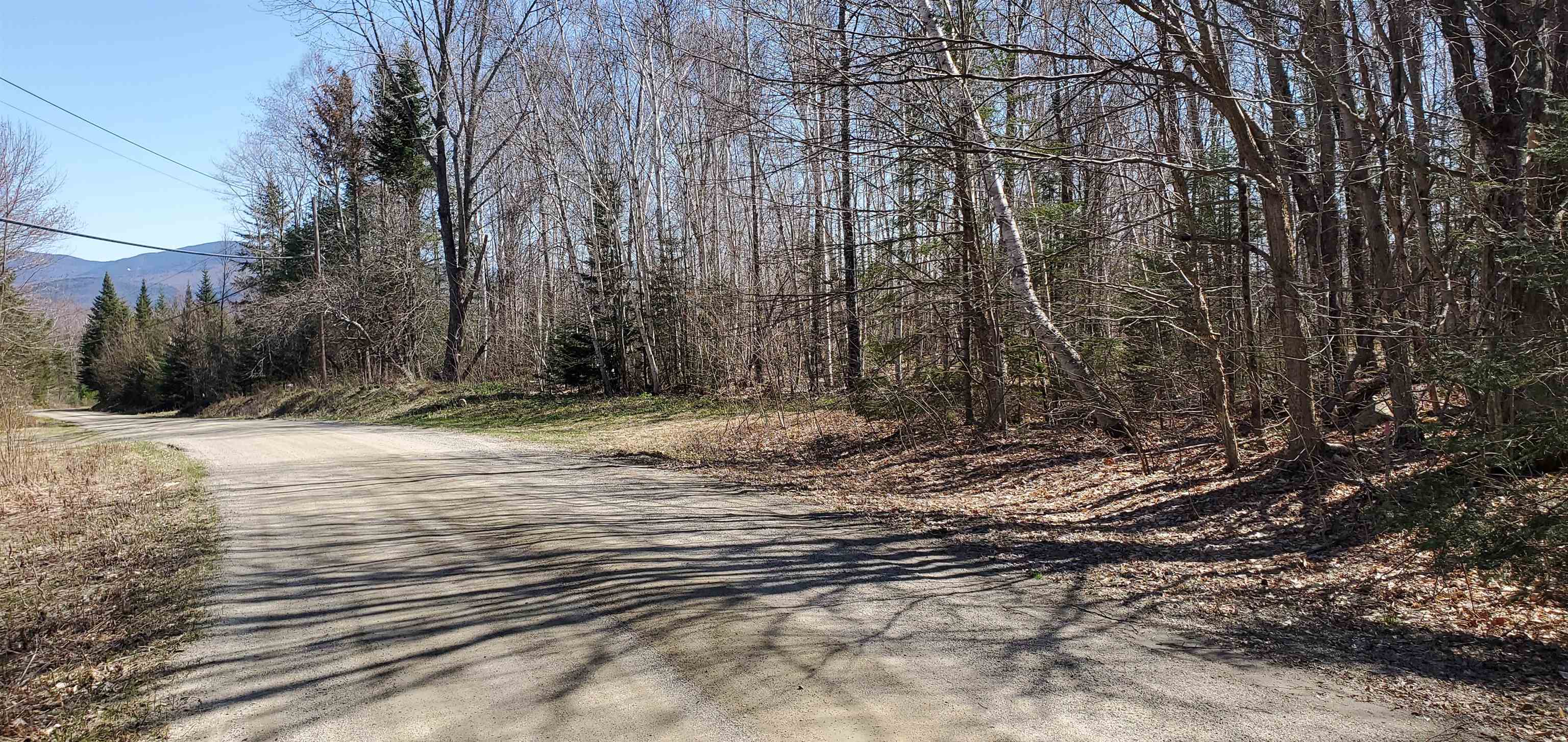 1281 Hall Road Maidstone, VT 05905 - Photo 6 of 27