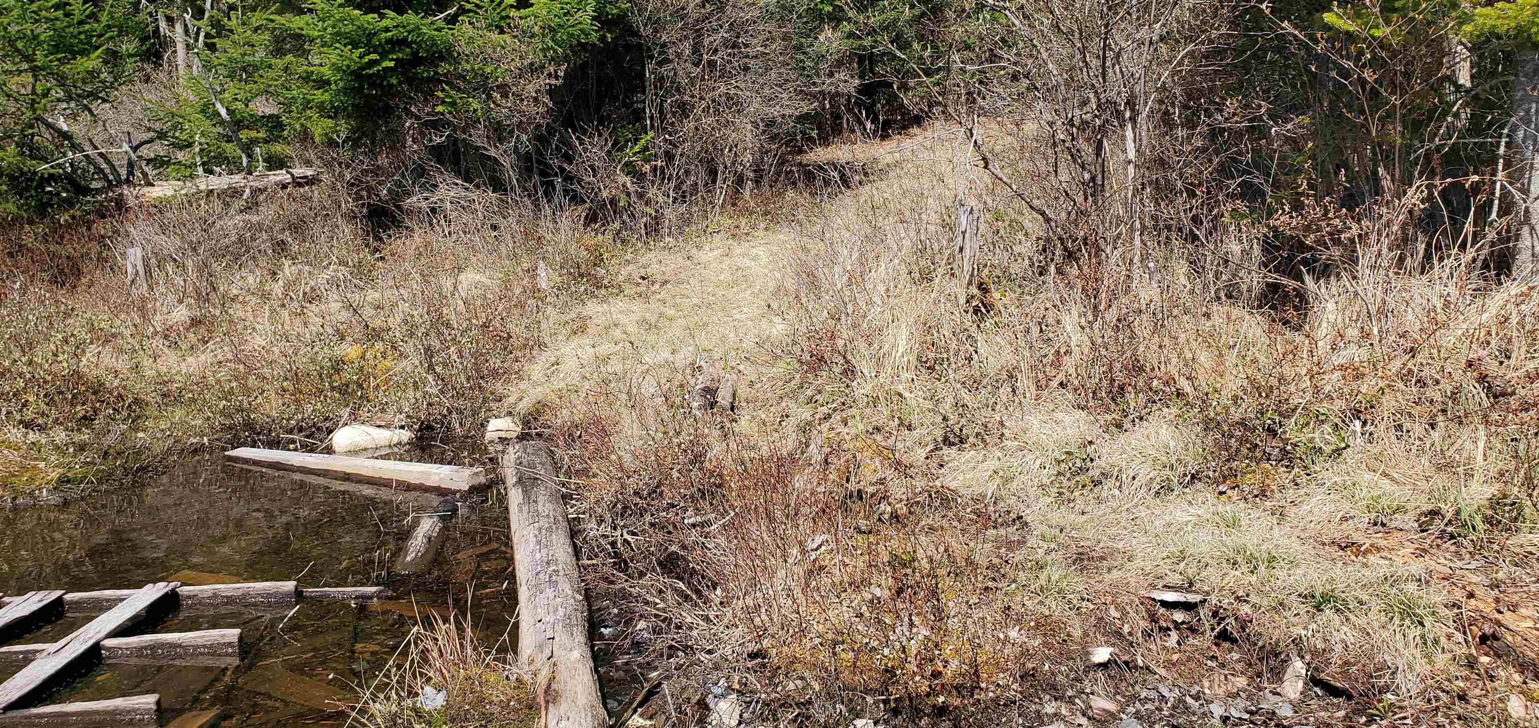 1281 Hall Road Maidstone, VT 05905 - Photo 7 of 27