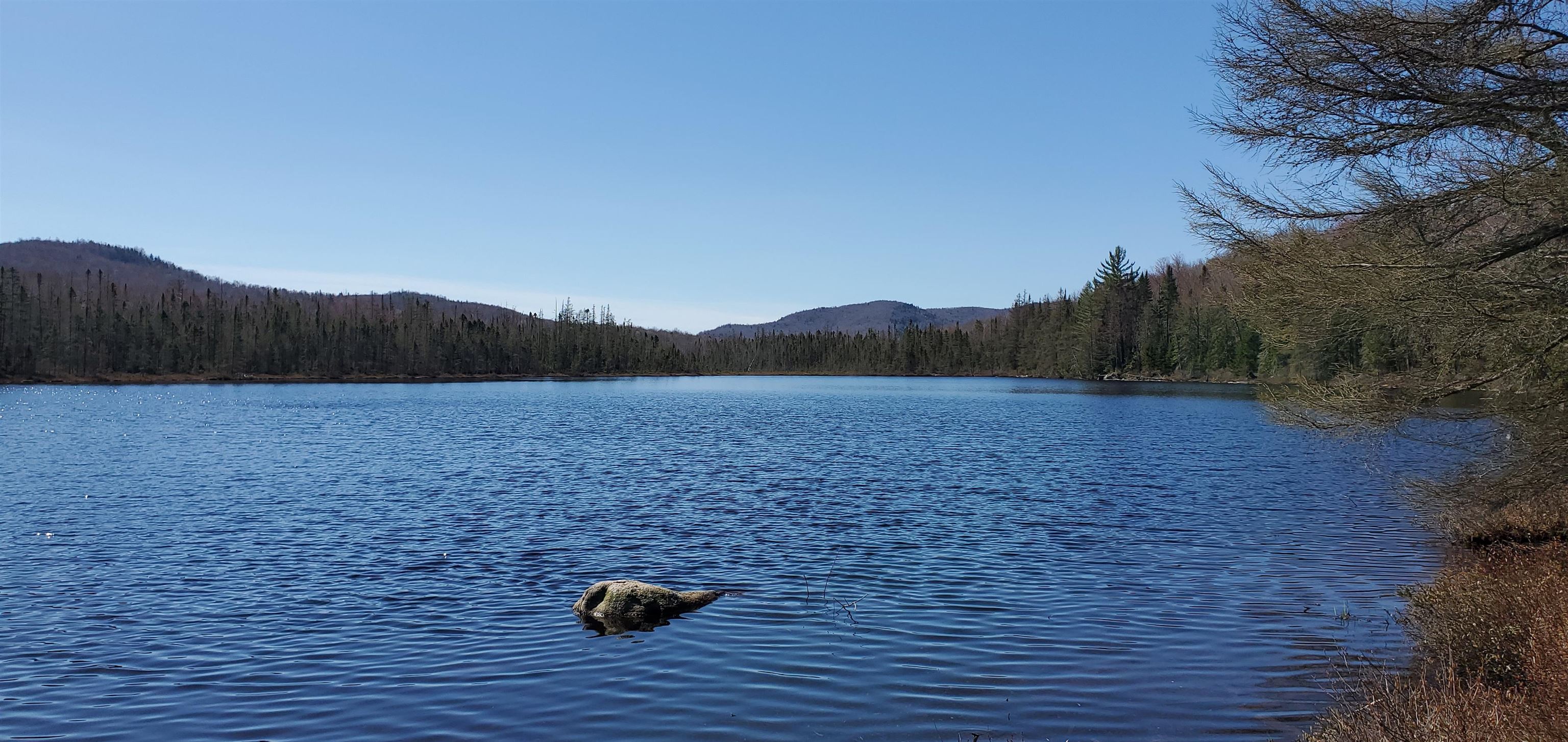 1281 Hall Road Maidstone, VT 05905 - Photo 10 of 27