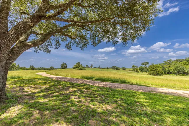 a view of an outdoor space and yard