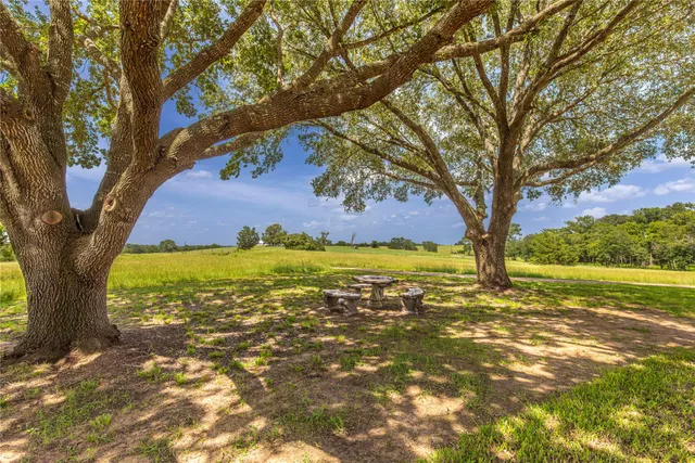 a view of yard with large trees