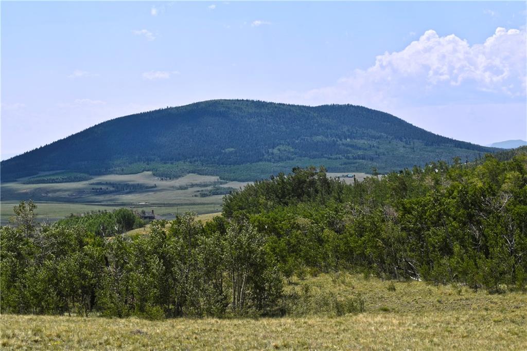 0 Round Hill Road Fairplay, CO 80440 - Photo 1 of 16 a view of a back yard
