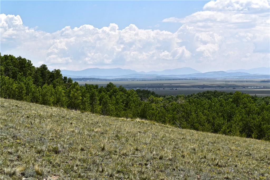 0 Round Hill Road Fairplay, CO 80440 - Photo 5 of 16 a view of a bunch of trees and bushes