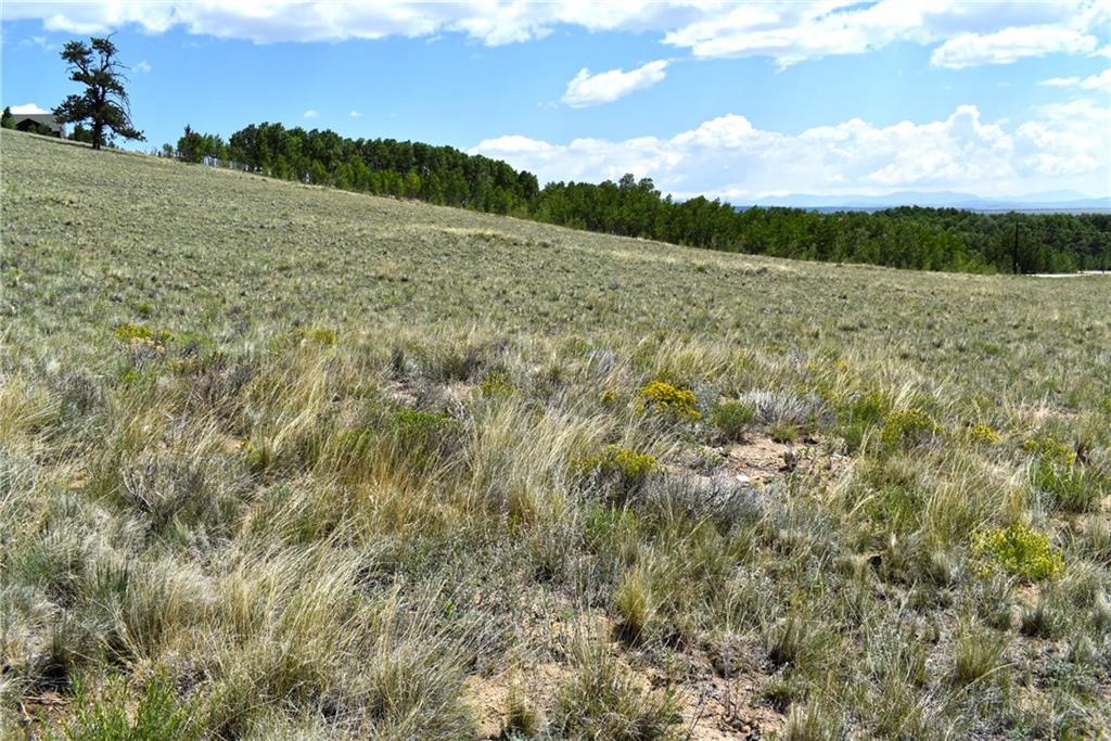 0 Round Hill Road Fairplay, CO 80440 - Photo 6 of 16 a view of a field with an ocean and trees