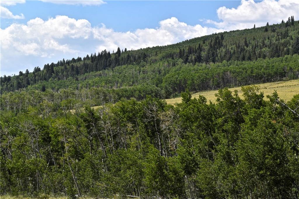 0 Round Hill Road Fairplay, CO 80440 - Photo 7 of 16 a view of a city with lush green forest