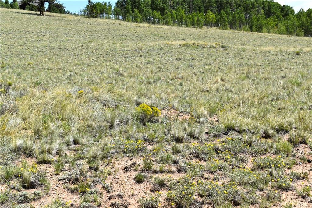 0 Round Hill Road Fairplay, CO 80440 - Photo 8 of 16 a view of a field with trees