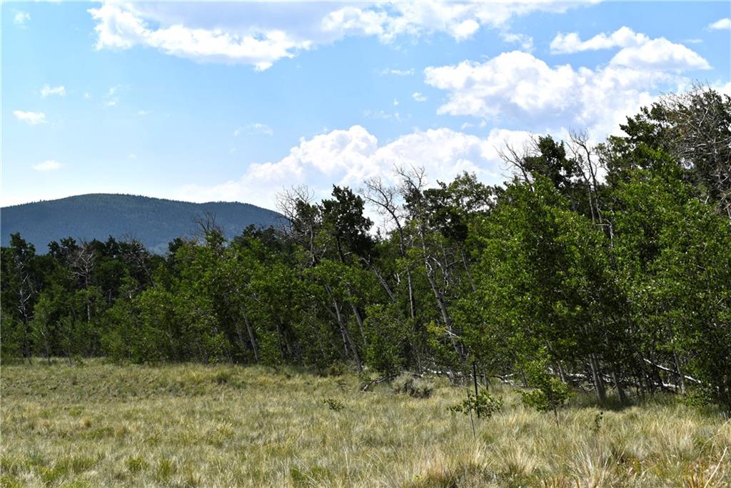 0 Round Hill Road Fairplay, CO 80440 - Photo 10 of 16 a view of a bunch of trees