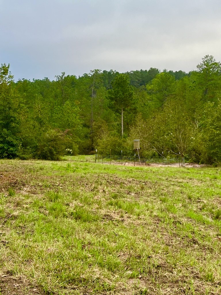 2845 County Road Colmesneil, TX 75938 - Photo 28 of 36