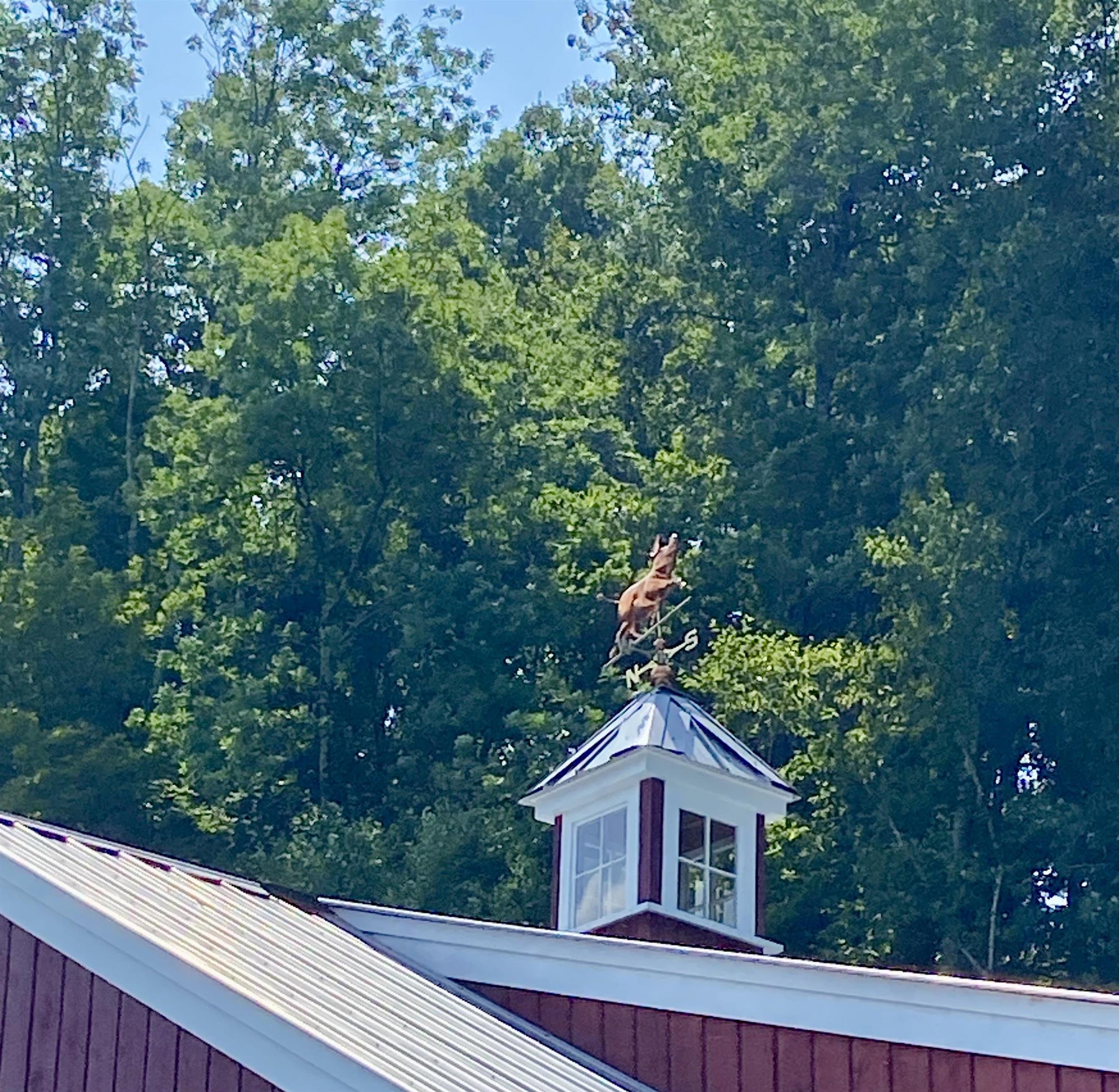 3789 Dorset West Road Dorset, VT 05251 - Photo 17 of 17