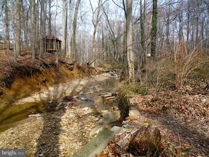 5016 Ridgewood Road Alexandria, VA 22312 - Photo 10 of 12 Wooded View / Acreage