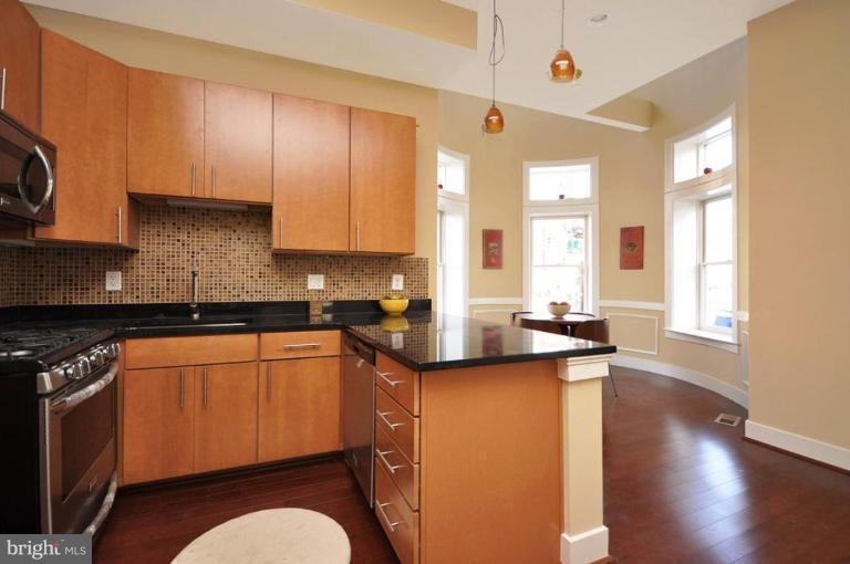 902 T Street Northwest, Unit A Washington, DC 20001 - Photo 10 of 19 Gourmet Kitchen!