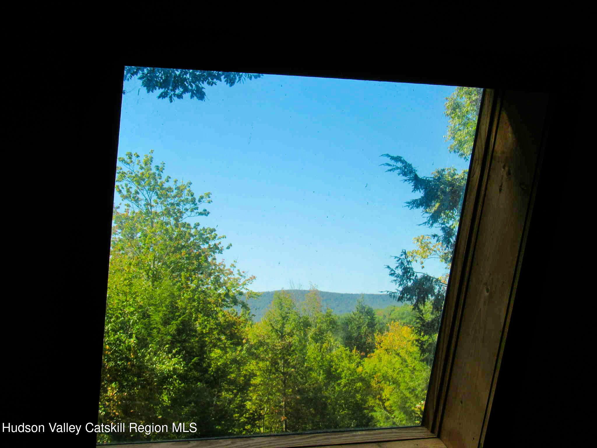 2 Crow Road Fleischmanns, NY 12430 - Photo 11 of 17 a view of a yard