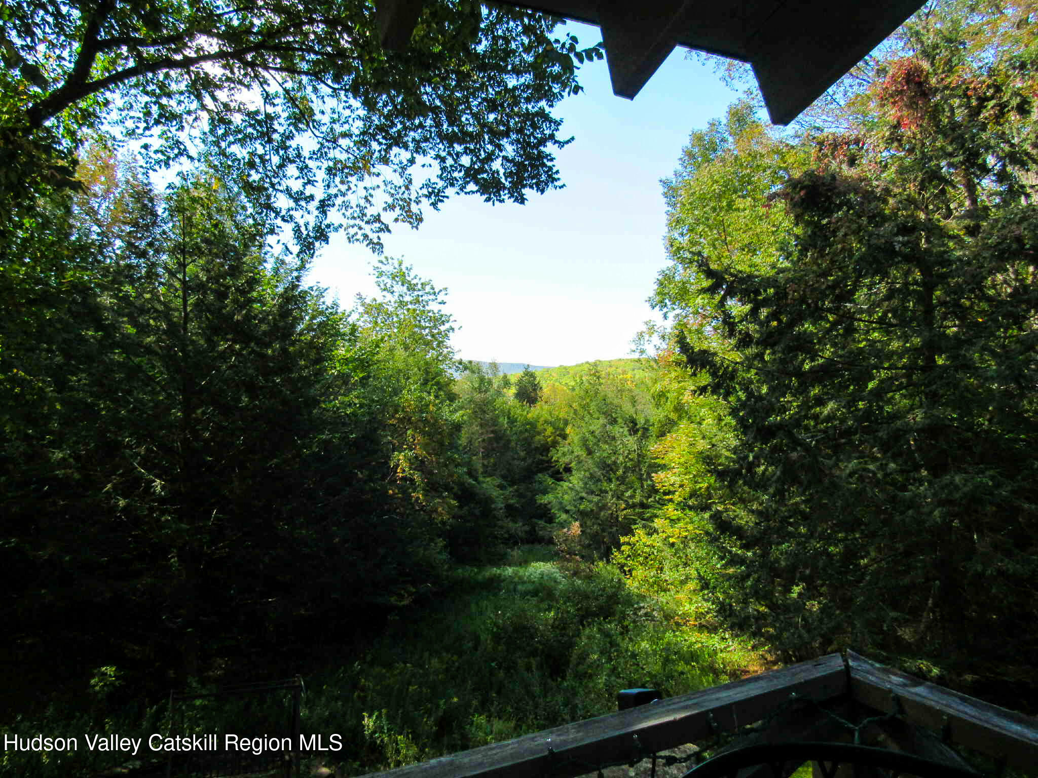 2 Crow Road Fleischmanns, NY 12430 - Photo 13 of 17 a view of a yard