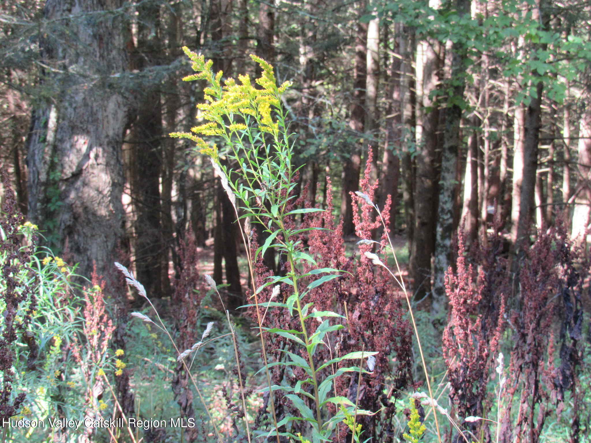 2 Crow Road Fleischmanns, NY 12430 - Photo 16 of 17