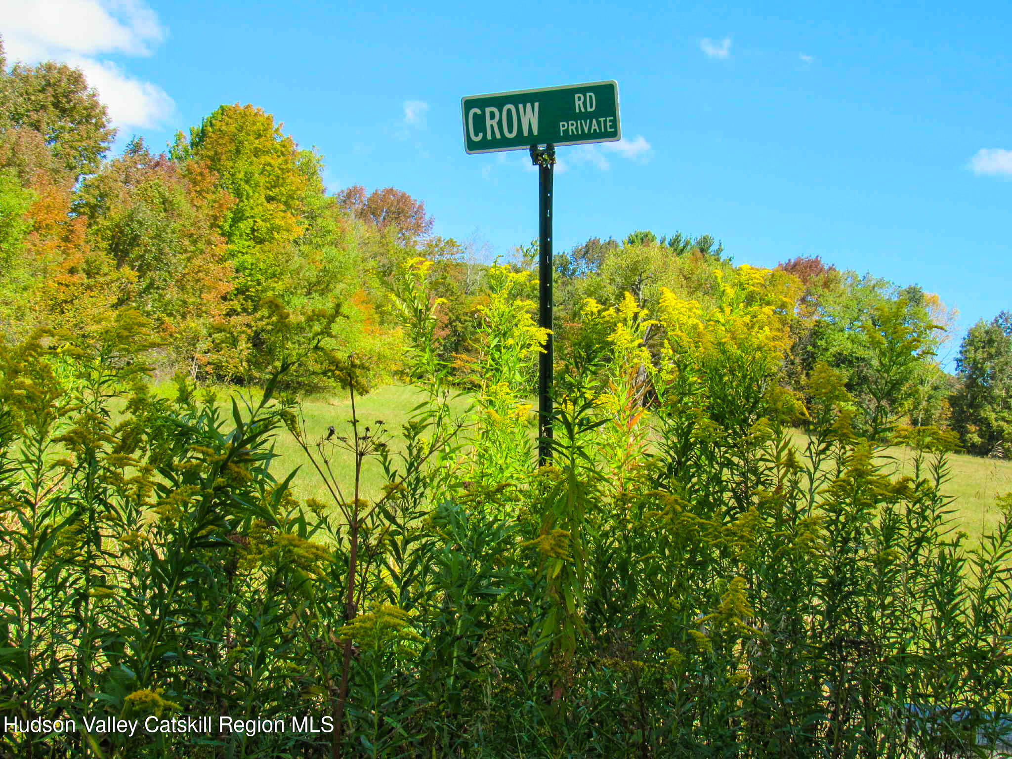 2 Crow Road Fleischmanns, NY 12430 - Photo 4 of 17 a view of a street with a tree