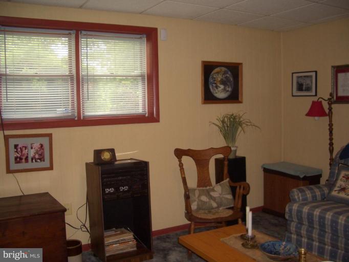 5658 Amos Reeder Road Boonsboro, MD 21713 - Photo 17 of 22 Family Room #2