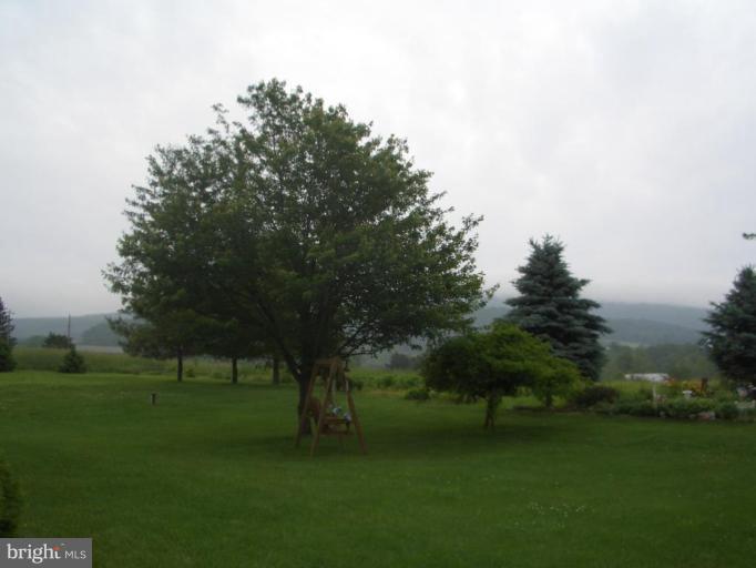 5658 Amos Reeder Road Boonsboro, MD 21713 - Photo 3 of 22 Back Yard View