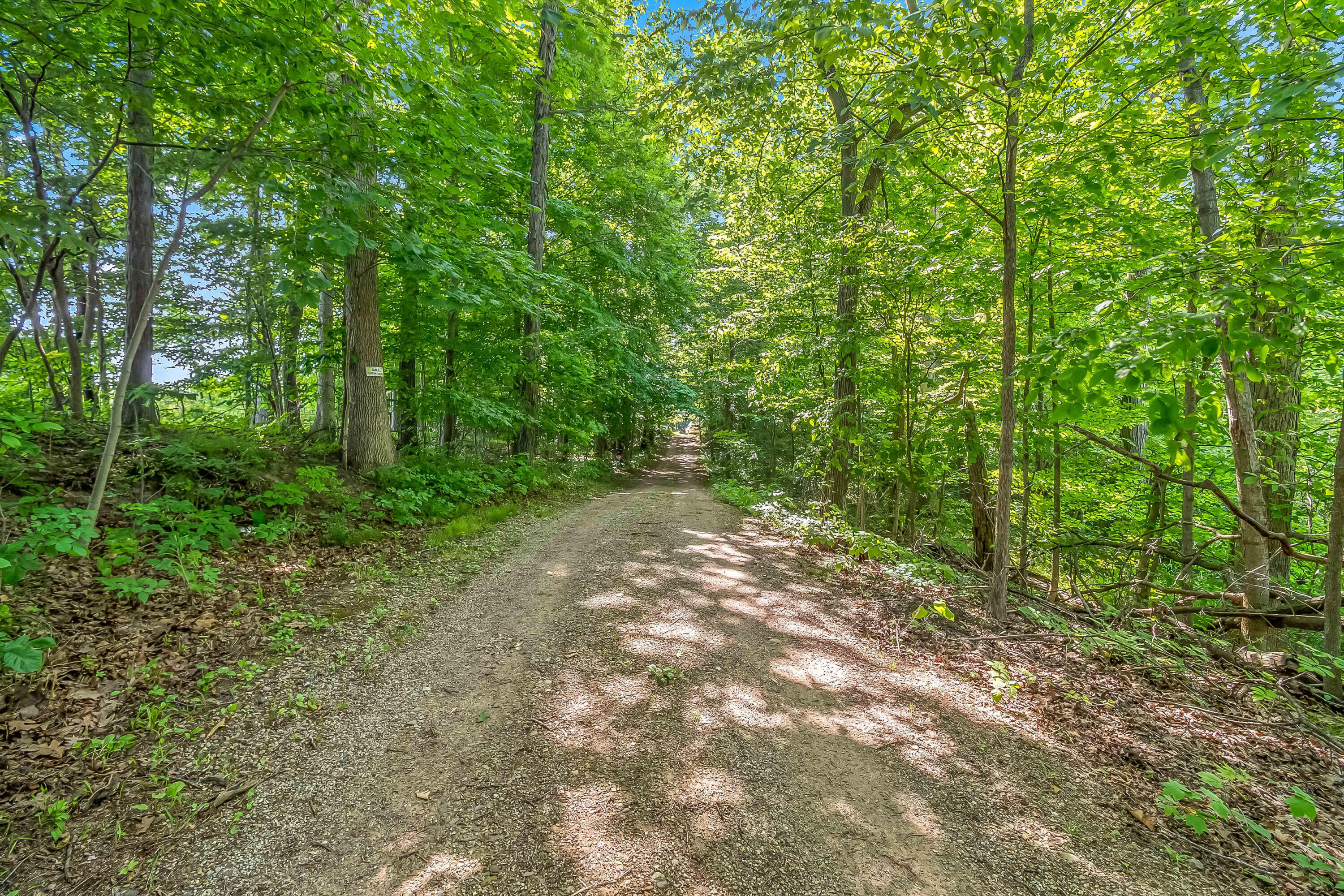 1391 Lake Wilson Road South Hillsdale, MI 49242 - Photo 2 of 47 13