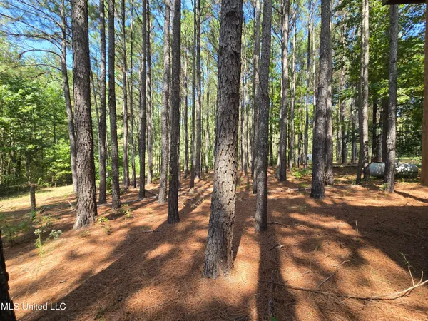 $304,500 | 111 County Road 488, Iuka, MS 38852