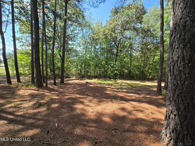 $304,500 | 111 County Road 488, Iuka, MS 38852