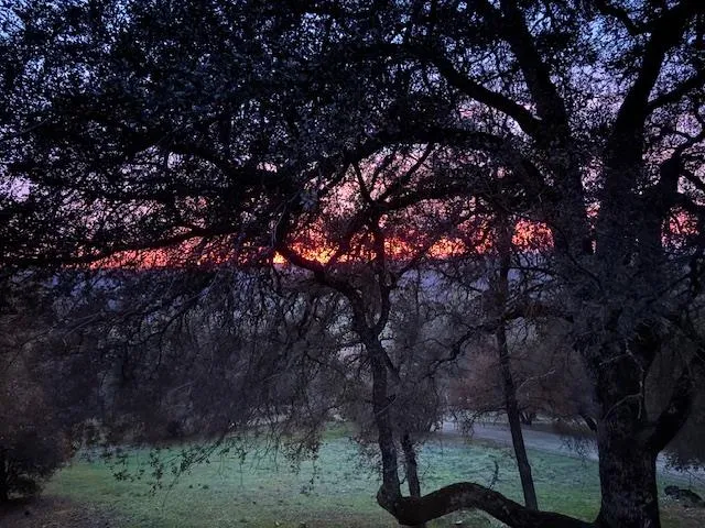 $795,000 | 9521 Sicard Flat Road, Browns Valley, CA 95918