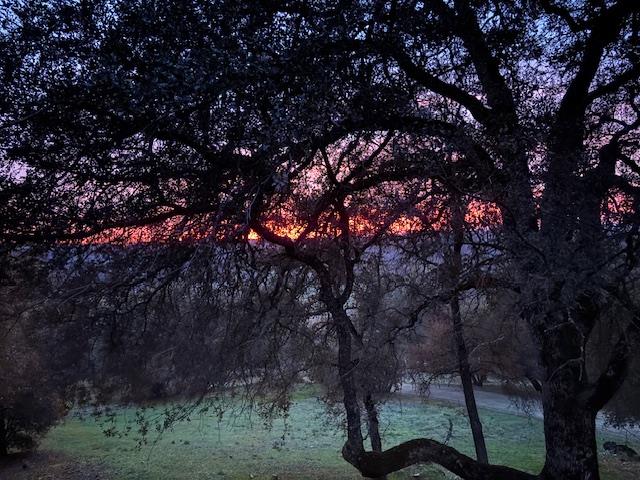 9521 Sicard Flat Road Browns Valley, CA 95918 - Photo 83 of 83