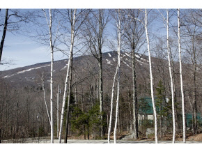 26 Sap Bucket Circle Winhall, VT 05340 - Photo 13 of 13