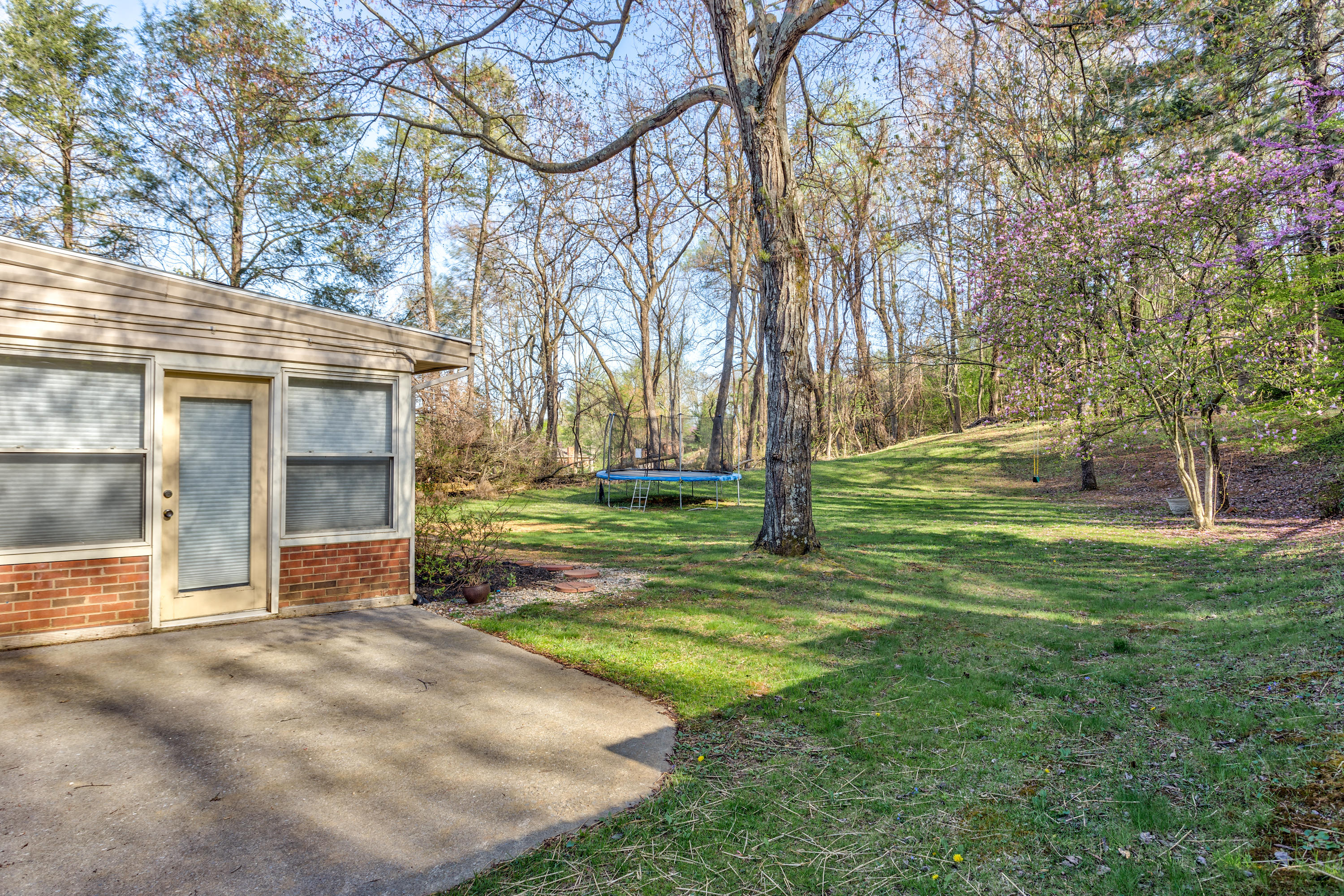 5232 Roselawn Road Roanoke, VA 24018 - Photo 5 of 31 Park-like backyard