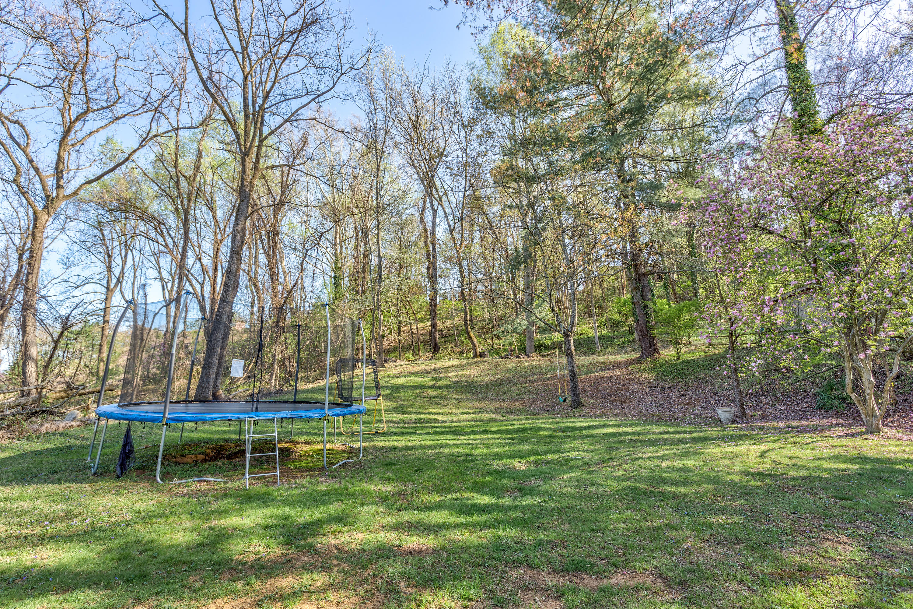 5232 Roselawn Road Roanoke, VA 24018 - Photo 7 of 31 Level lot