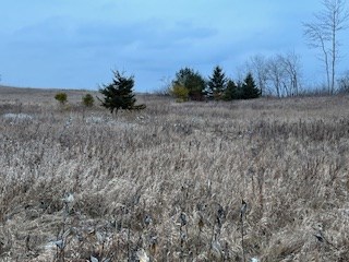 Tbd Lakeview Drive Kewaunee, WI 54216 - Photo 6 of 12