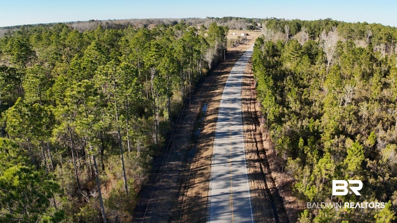 11808 Abb Road Tibbie, AL 36583 - Photo 21 of 31 Bird's eye view with a wooded view