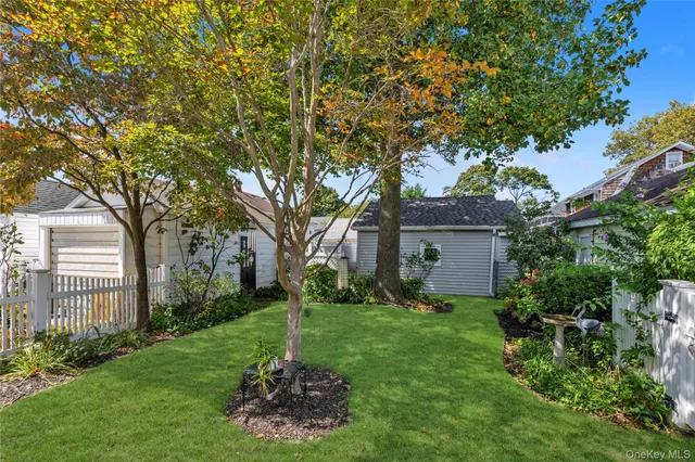 a backyard of a house with plants and large tree