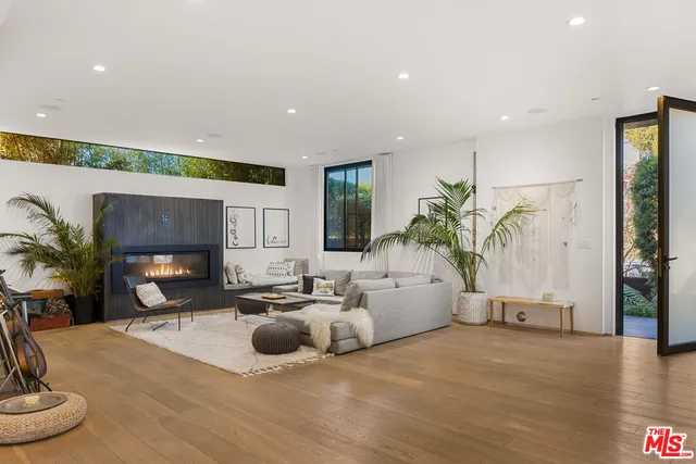 a living room with furniture potted plant and a fireplace