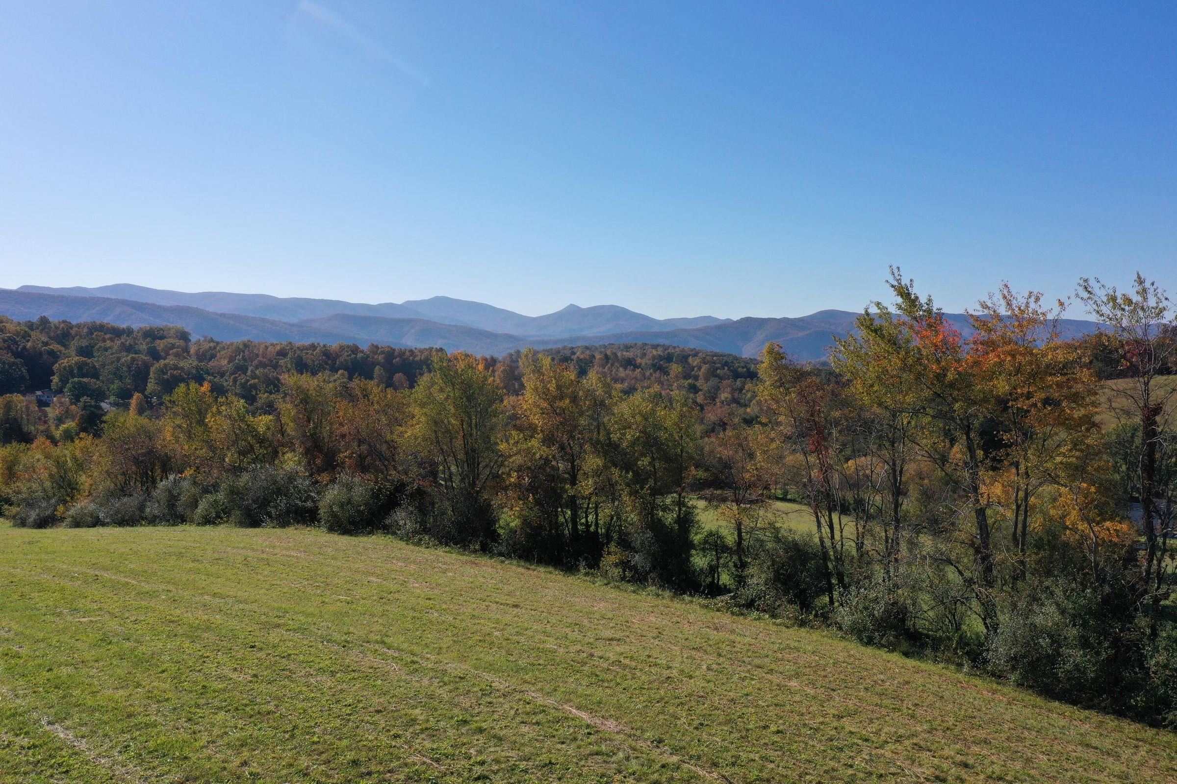 Tbd Buffalo Road Buchanan, VA 24066 - Photo 10 of 11 Gallery Image 10