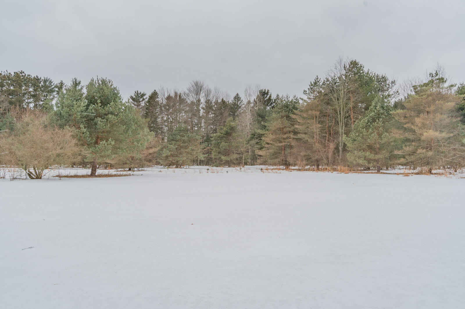 3487 Automobile Road Muskegon, MI 49445 - Photo 54 of 67 50_HOME61_mls