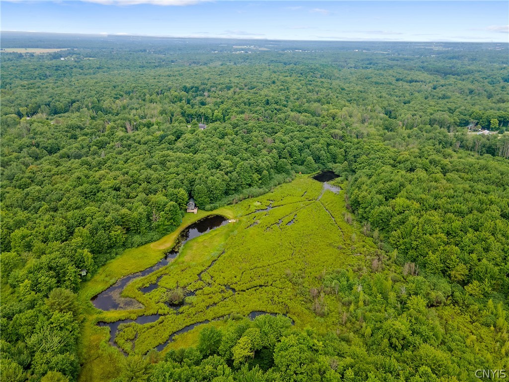 592 Towne Road Pulaski, NY 13142 - Photo 39 of 46