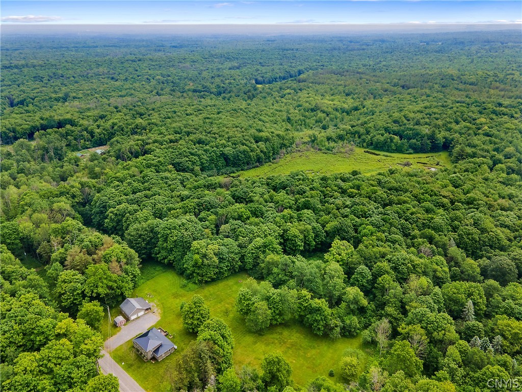 592 Towne Road Pulaski, NY 13142 - Photo 45 of 46