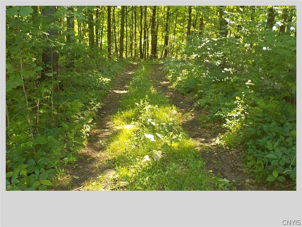 592 Towne Road Pulaski, NY 13142 - Photo 6 of 46