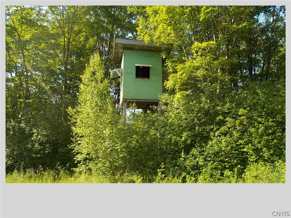 592 Towne Road Pulaski, NY 13142 - Photo 10 of 46