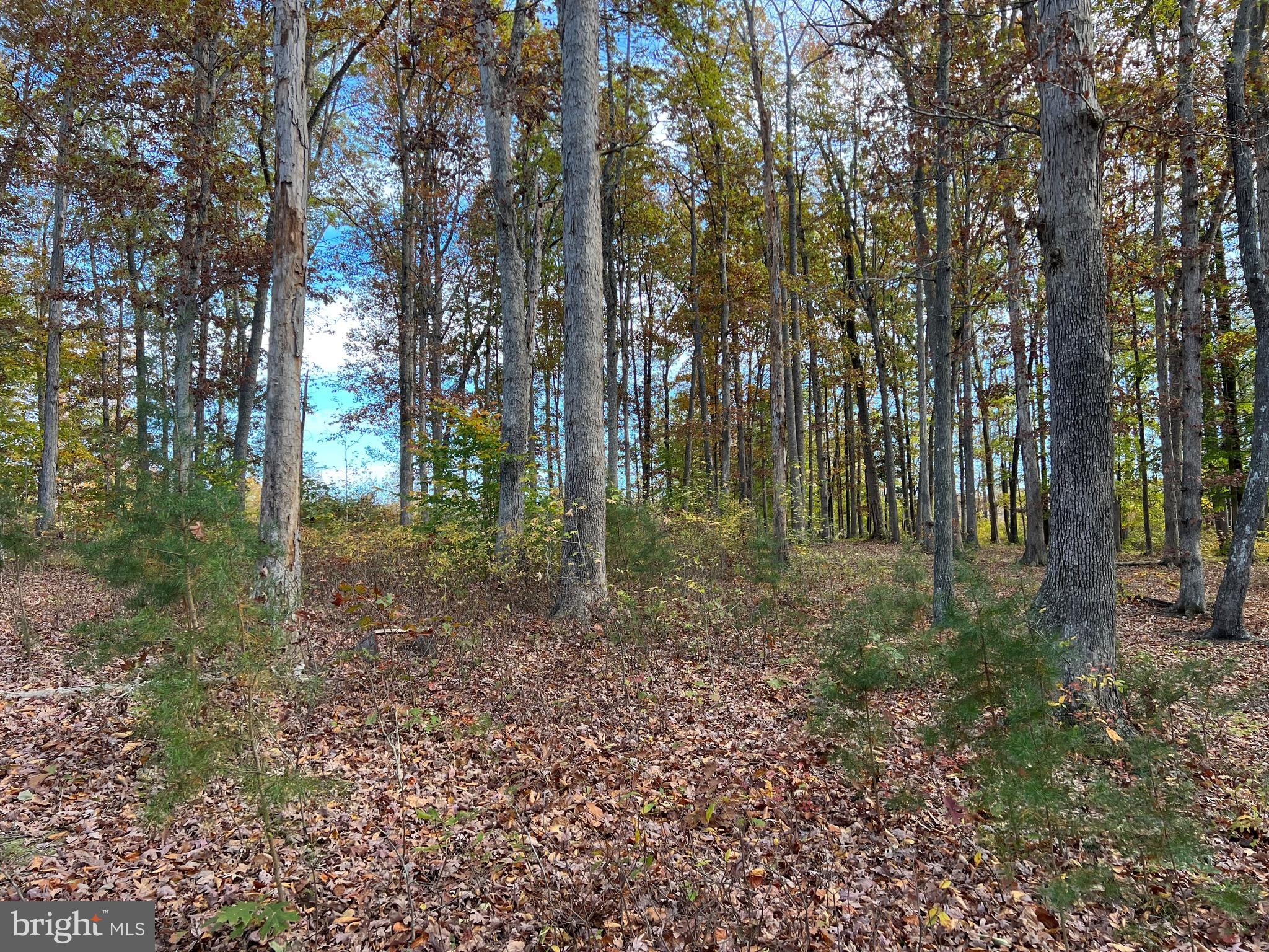8 Rainbow Ridge Bumpass, VA 23024 - Photo 5 of 21 a view of outdoor space and green space