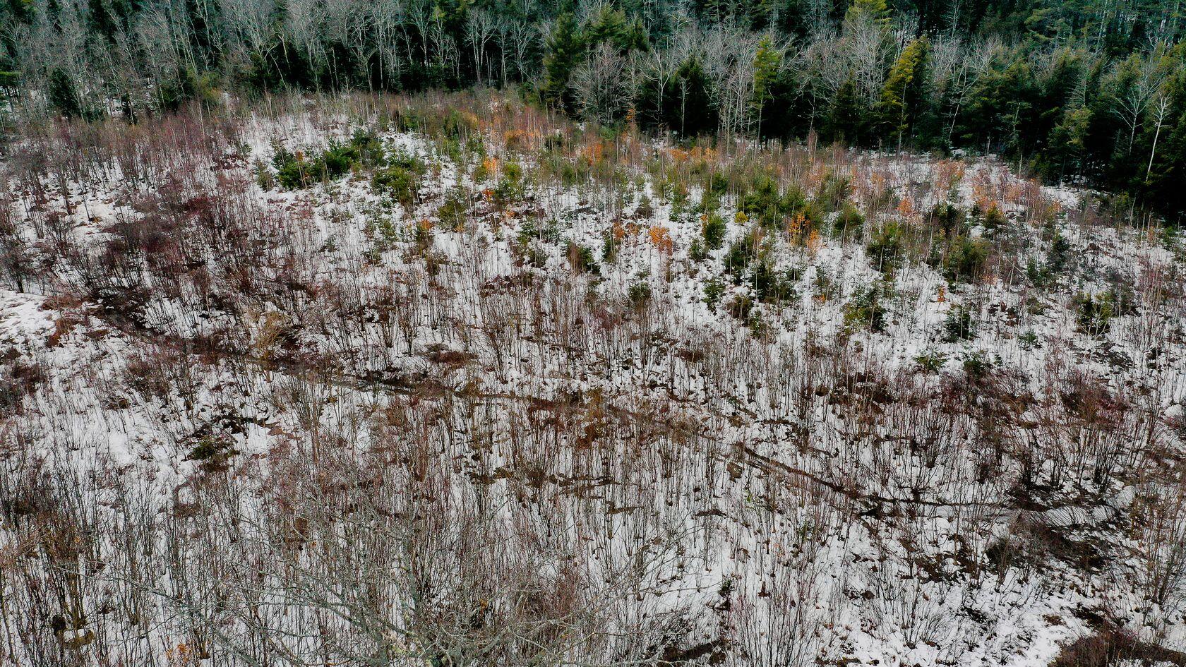183 Pond Road Mount Vernon, ME 04352 - Photo 54 of 54 Magical Moments Photography-18_result